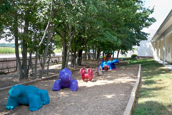 Child Care playground Carmel Indiana